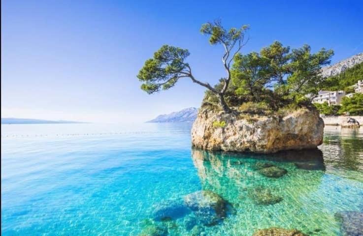 Villa Hope Zmijavci Bagian luar foto